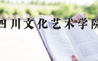 2025年四川文化艺术学院在四川计划招生人数（附学费及专业录取分)