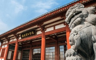 2024年洛阳理工学院录取分数线，河北最低480分