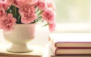 2024年广州华南商贸职业学院在广东计划招生人数（附学费及专业录取分）