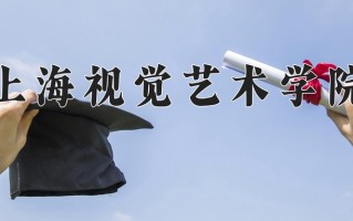 2025年上海视觉艺术学院在河南计划招生人数（附学费及专业录取分)