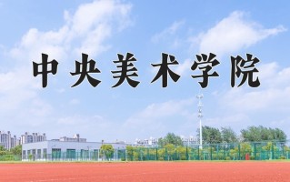 2025年中央美术学院在河南计划招生人数（附学费及专业录取分)