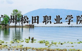 2025年广州松田职业学院在四川计划招生人数（附学费及专业录取分)