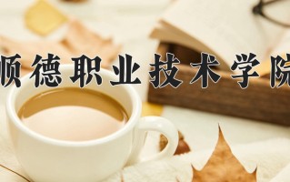 2025年顺德职业技术学院在新疆计划招生人数（附学费及专业录取分)