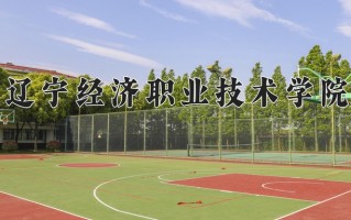 2025年辽宁经济职业技术学院在四川计划招生人数（附学费及专业录取分)