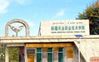 陕西高考211分能上什么大学？附2025年可以报考的大学名单