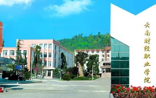 2024年云南财经职业学院录取分数线，河北最低345分