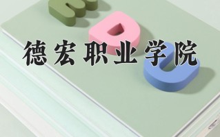 2025年德宏职业学院在四川计划招生人数（附学费及专业录取分)