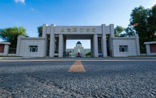2024年大庆职业学院在广东计划招生人数（附学费及专业录取分）