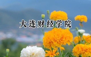 大连财经学院2024在内蒙古录取分数线是多少？最低320分/最高427分