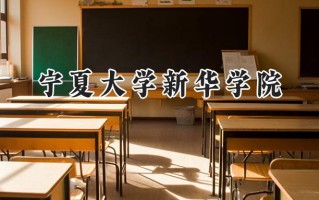 宁夏大学新华学院2024在内蒙古录取分数线是多少？最低366分/最高409分