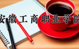 2024年安徽工商职业学院录取分数线，河北最低385分