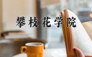 2025年攀枝花学院在四川计划招生人数（附学费及专业录取分)