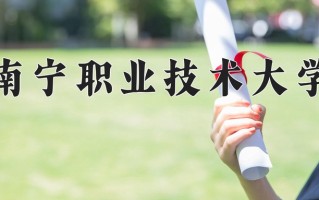 2025年南宁职业技术大学在四川计划招生人数（附学费及专业录取分)