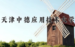 2025年天津中德应用技术大学在新疆计划招生人数（附学费及专业录取分)