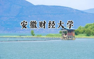 安徽财经大学2024在山东录取分数线是多少？最低520分/最高578分