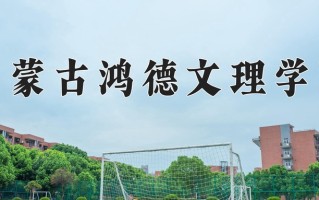 2025年内蒙古鸿德文理学院在河南计划招生人数（附学费及专业录取分)