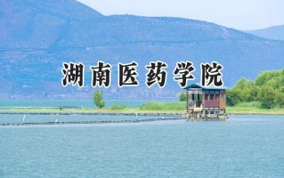 湖南医药学院2024在山东录取分数线是多少？最低498分/最高549分