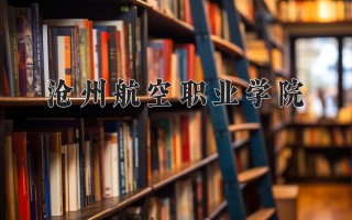 2024年沧州航空职业学院录取分数线，河北最低275分