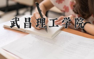 2025年武昌理工学院在新疆计划招生人数（附学费及专业录取分)