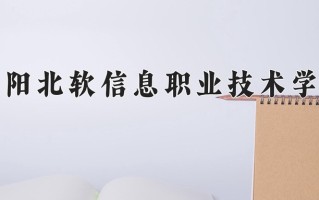 2024年沈阳北软信息职业技术学院录取分数线，新疆最低160分