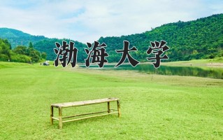 2025年渤海大学在河南计划招生人数（附学费及专业录取分)