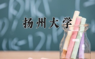2025年扬州大学在四川计划招生人数（附学费及专业录取分)