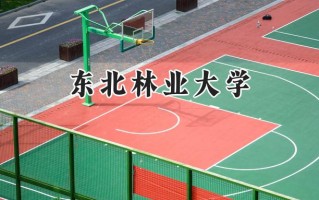 东北林业大学2024在青海录取分数线是多少？最低414分/最高495分