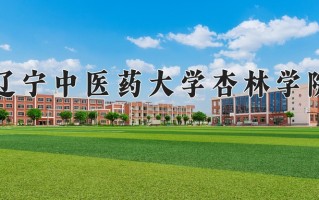 2025年辽宁中医药大学杏林学院在新疆计划招生人数（附学费及专业录取分)