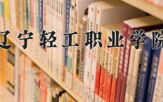 2025年辽宁轻工职业学院在四川计划招生人数（附学费及专业录取分)