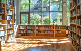山东高考310分左右上什么大学好？2025年高考好学校推荐