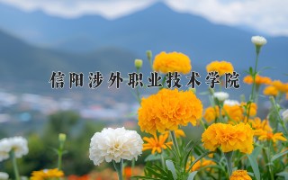 2024年信阳涉外职业技术学院录取分数线，河北最低270分