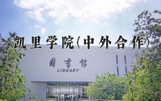 2025年凯里学院(中外合作)在重庆计划招生人数（附学费及专业录取分)