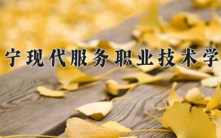 2025年辽宁现代服务职业技术学院在新疆计划招生人数（附学费及专业录取分)