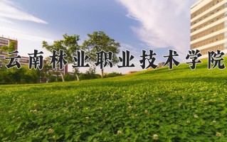 2025年云南林业职业技术学院在河南计划招生人数（附学费及专业录取分)