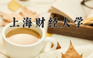 2025年上海财经大学在新疆计划招生人数（附学费及专业录取分)