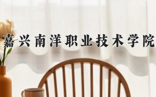 2025年嘉兴南洋职业技术学院在新疆计划招生人数（附学费及专业录取分)