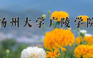 2025年扬州大学广陵学院在新疆计划招生人数（附学费及专业录取分)