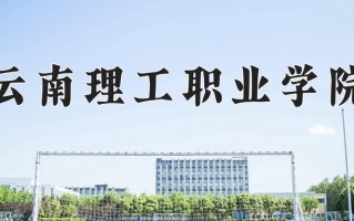 2025年云南理工职业学院在重庆计划招生人数（附学费及专业录取分)