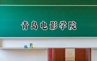 青岛电影学院2024在福建录取分数线是多少？最低421分/最高463分
