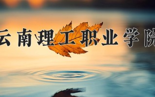 2025年云南理工职业学院在河北计划招生人数（附学费及专业录取分)