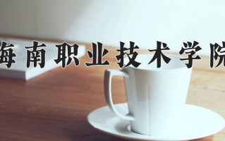 2024年海南职业技术学院录取分数线，青海最低222分