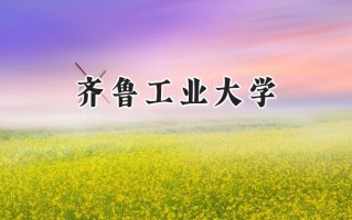 齐鲁工业大学2024在福建录取分数线是多少？最低440分/最高551分