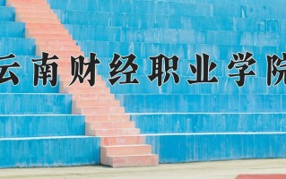 2025年云南财经职业学院在河南计划招生人数（附学费及专业录取分)