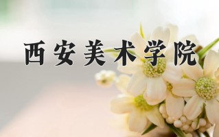 2025年西安美术学院在河南计划招生人数（附学费及专业录取分)