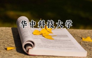 2024华中科技大学录取分数线：新疆最低540分