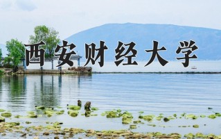 2025年西安财经大学在四川计划招生人数（附学费及专业录取分)