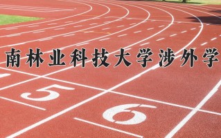 2025年中南林业科技大学涉外学院在河南计划招生人数（附学费及专业录取分)