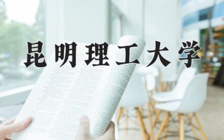 2025年昆明理工大学在新疆计划招生人数（附学费及专业录取分)