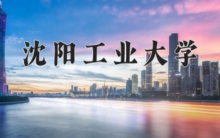2025年沈阳工业大学在河南计划招生人数（附学费及专业录取分)