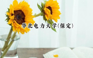 2024华北电力大学(保定)录取分数线：新疆最低497分